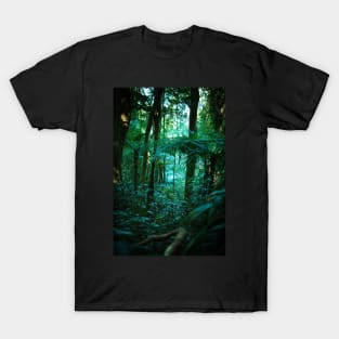 Bar Mountain Walk T-Shirt